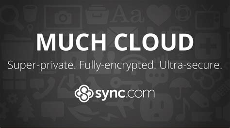 How to Use Sync.com 的图像结果