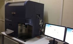 Mehta Family School of Biosciences & Biomedical Engineering | IIT Indore