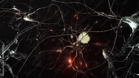 Neural Process Video Animation 的图像结果