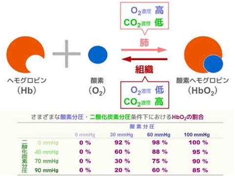 Image result for Readable GUID Generator