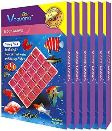 V aquaria Frozen Bloodworms - 600G (100×6 Blister Packs) Aquarium ...