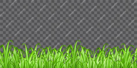 Echt groen gras op transparante achtergrond vector | Premium Vector