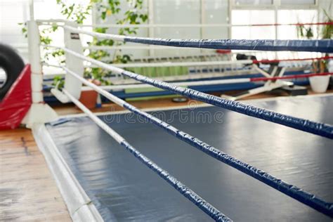 Boxing Place 的图像结果