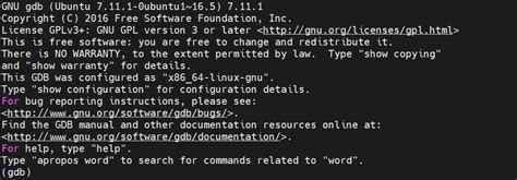 Debugging MIT GDB 的图像结果