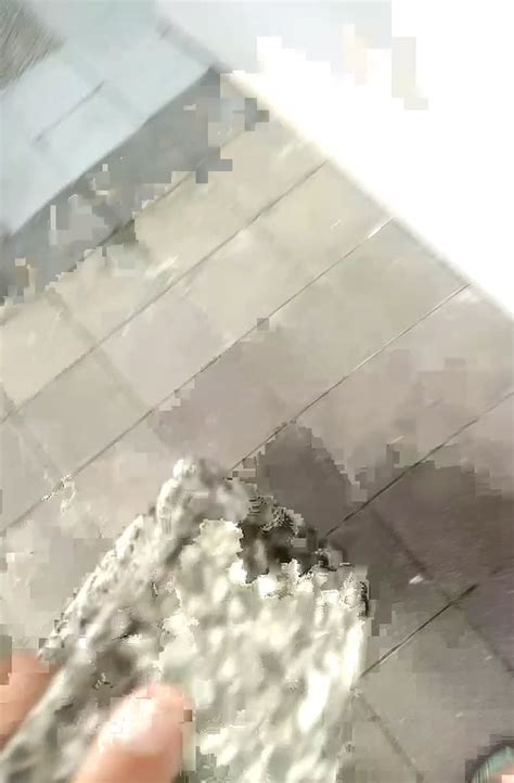 JSON Mosh 的图像结果