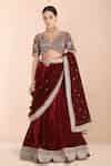 Buy Burgundy Velvet Embroidery, Sequins, Pearls, Metallic Thread V-neck ...