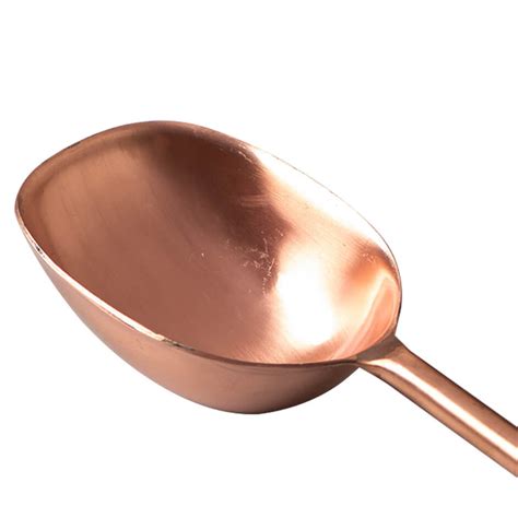 Buy Ice Scoop in Copper Color Online in India - Nestroots