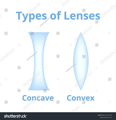 Vector Illustration Concave Convex Lenses Isolated Stock Vector ...