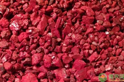 朱砂哪里产地最正宗？ - 惠农网