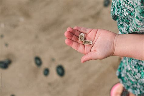 Finding Sea Shells 的图像结果