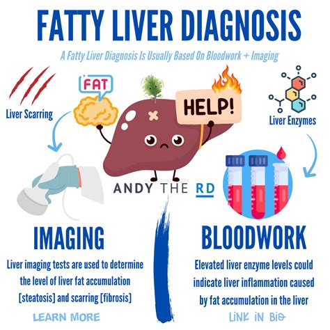 An Introduction To Fatty Liver Disease [NAFLD] - Andy The RD
