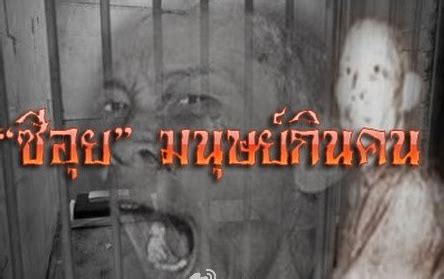 泰国电影《细伟/食人狂魔》主角段奕宏演的是角色是什么样的？_巴拉排行榜