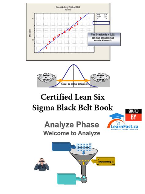 DMAIC Analyze Phase 的图像结果