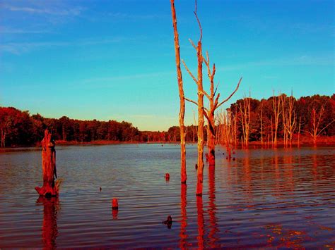 Big Oaks National Wildlife Refuge - Madison Indiana