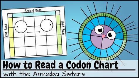 Image result for Codon Chart Reading