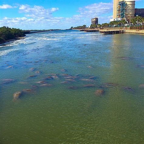 THE 30 BEST Places to Visit in Port Richey (2026)