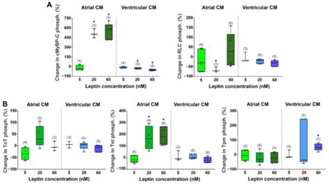 The Acute Effects of Leptin on the Contractility of Isolated Rat Atrial ...