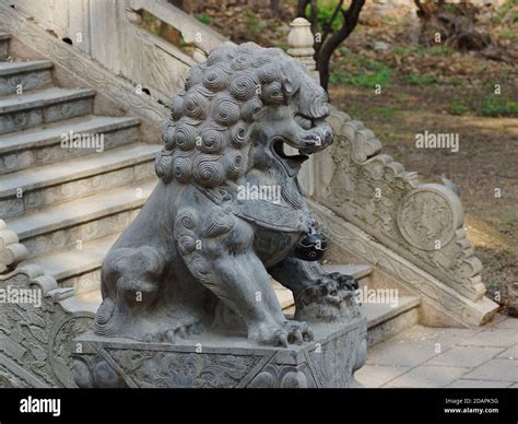 Chinese guardian lions hi-res stock photography and images - Alamy