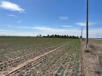 Amarillo TX Homes for Sale with Acreage - Homes.com