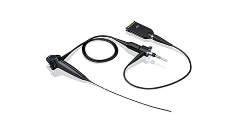 Our Business Fields : Company Profile : OLYMPUS