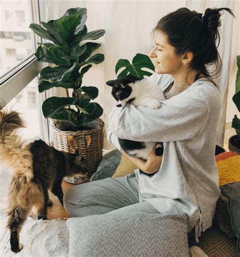 The Odie Affiliate Program | Odie Pet Insurance