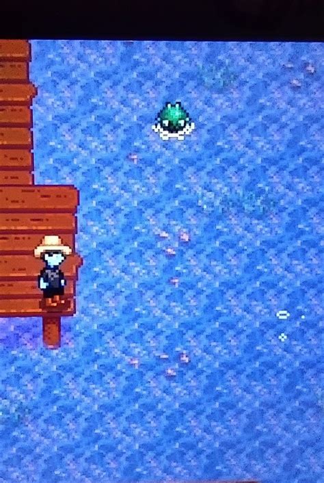 Sea Urchin Stardew Valley | Stardew Seaweed - Limmerkoll