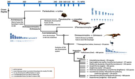 Dinosaurs: Comparative Cytogenomics of Their Reptile Cousins and Avian ...