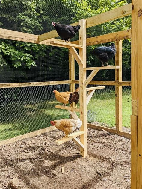 Chicken Coop Garden, Chicken Roost, Cute Chicken Coops, Chicken Barn ...