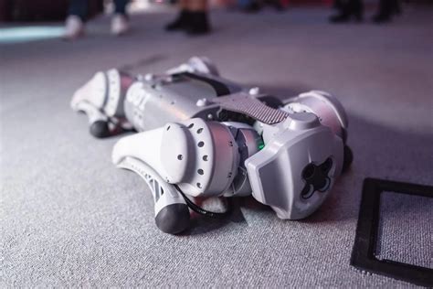 UniTree Go1 Pro Rwview 的图像结果