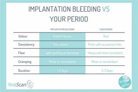 Implantation Bleeding In Early Pregnancy - Window to the Womb