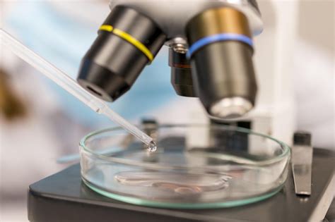 Image result for What Is Spectroscopy