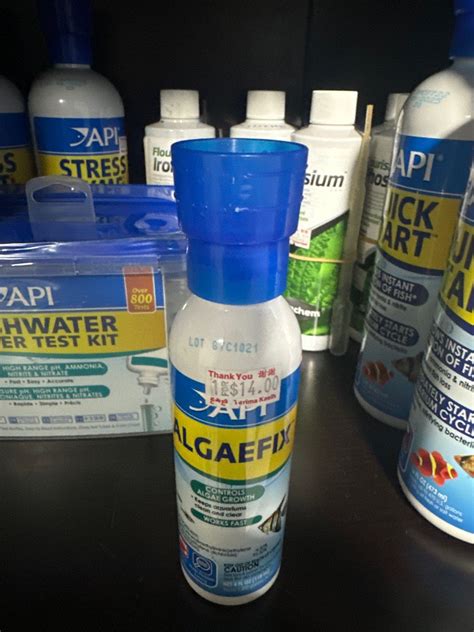 Image result for How to Use API AlgaeFix