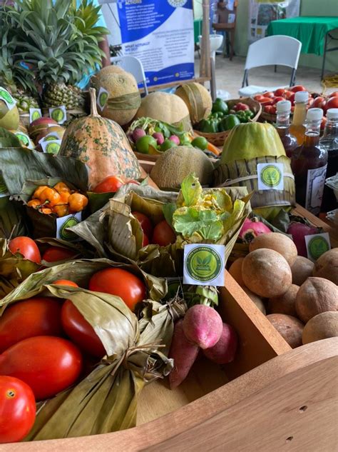 National Agriculture & Trade Show 2025 in Belize | Join the Fun