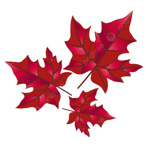 Clip Art Daun Maple Merah, Daun Maple Merah, Daun Daun, Clipart PNG dan ...