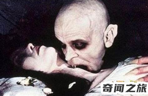 95年上海吸血鬼真实事件 实用：95年上海浦东吸血鬼事件是真的吗 - 遇奇吧