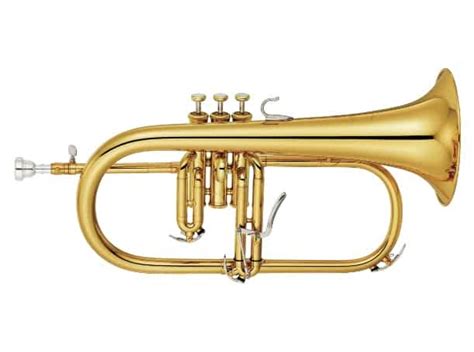 Image result for Brass Music Instruments