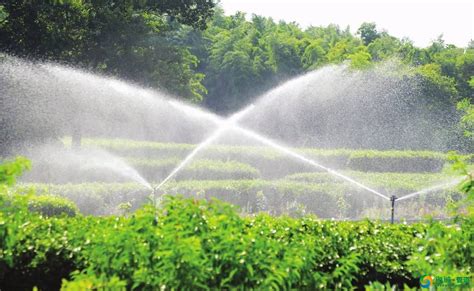HDPE管应用——PE灌溉管