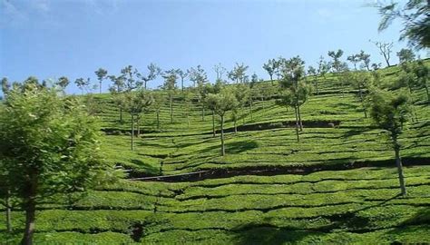 Wular Lake Is The Covered Mystic Lake In Kashmir To Visit In 2025