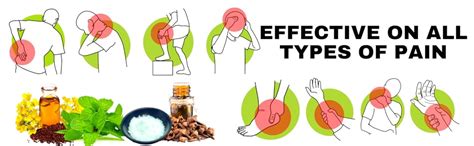 Dard Go Pain Relief Oil | Ideal for Joint Pain, Knee Pain, Neck Pain ...