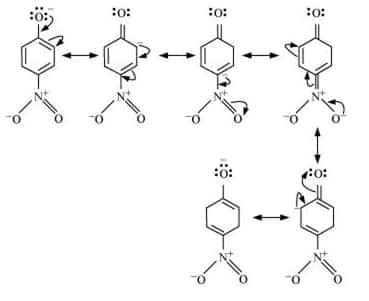 NCERT solutions for Class 12 Chemistry Chapter 7 Alcohols, Phenols and ...