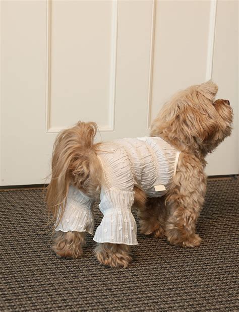 M.L/即納【noonoosoom】blossom puff all in one (Ivory) | haneulpet