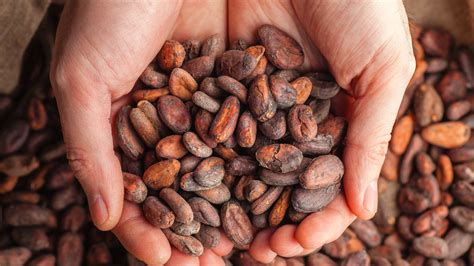 Image result for Cocoa API