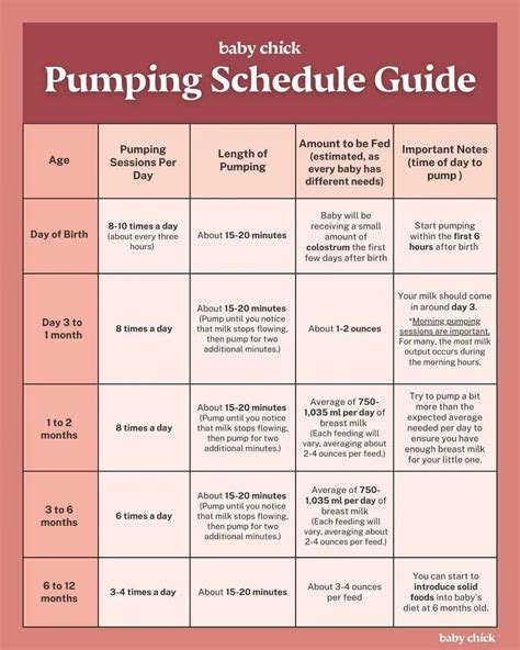 The Ultimate Guide to Exclusively Pumping: Tips, Schedules, and More ...