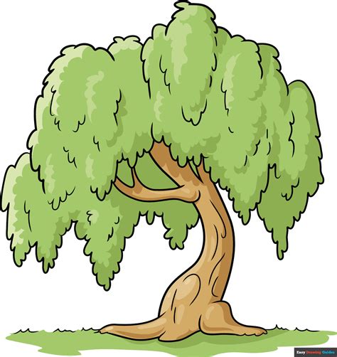 Free Willow Tree, Download Free Willow Tree png images, Free ClipArts ...