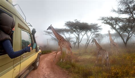 Signature Access | Andrew Harper