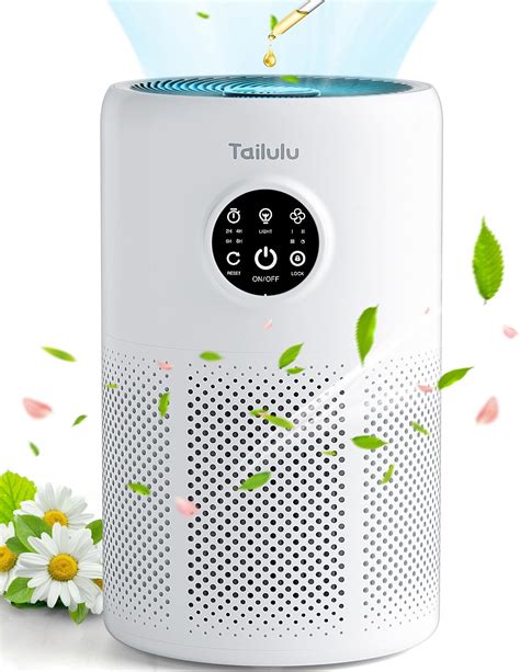 Review of Tailulu D10: Air Purifier for Large Pet-Friendly Rooms