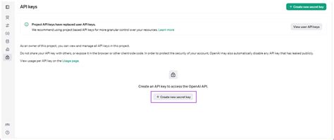 Secret API Key Example 的图像结果