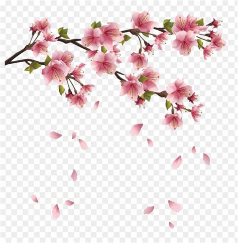 Image result for Spring Texture PNG