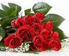 fiori per una donna la loggia listone vuoi conquistare una donna regala fiori per una donna la loggia listone vuoi conquistare una donna regala