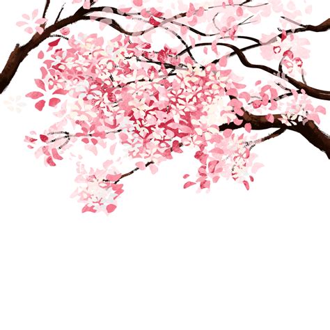 Cherry Blossom Spring Cherry Blossom Petals Branch, Cherry Blossoms ...
